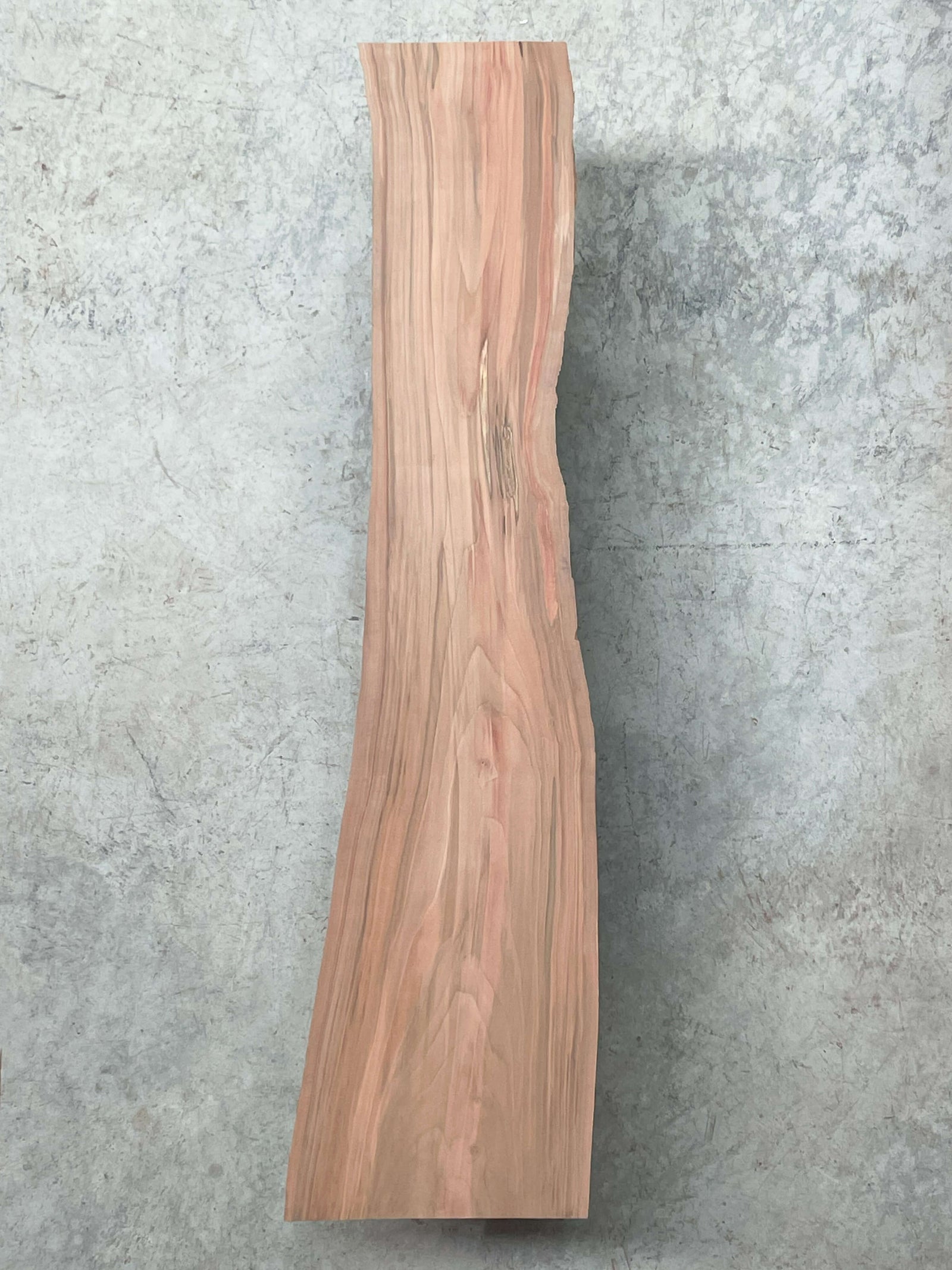 Oak Bench Tabletop / 3D Modeling